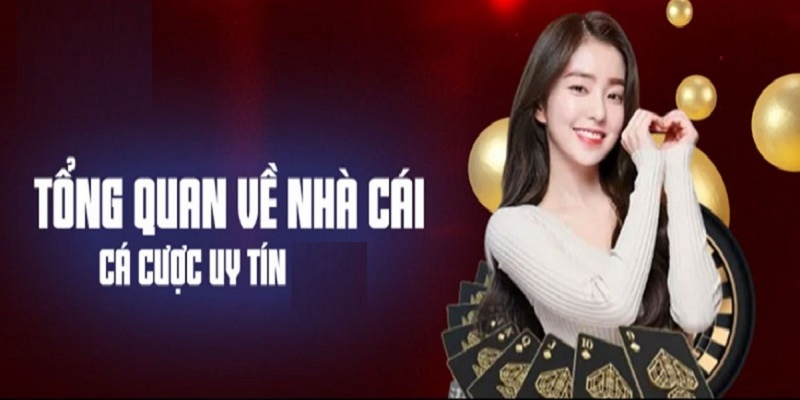 VN88 – thương hiệu uy tín và nổi danh trong giới cá cược online